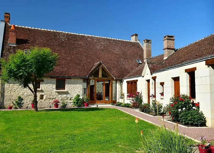 Le Tulipier De Virginie
